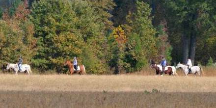 Trail Riding 2